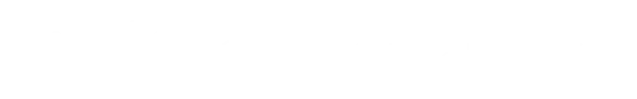 Biz Savvy Pros Bookkeeping White Logo